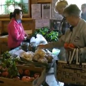 Shop the Farmers Markets in the Municipality of Chester